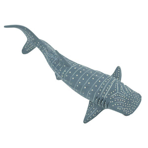 210602-Whale Shark