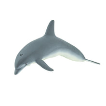 Cargar imagen en el visor de la galería, 210802-Bottlenose Dolphin