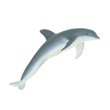 Cargar imagen en el visor de la galería, 210802-Bottlenose Dolphin