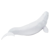 Cargar imagen en el visor de la galería, 211002-Beluga Whale