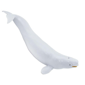 211002-Beluga Whale