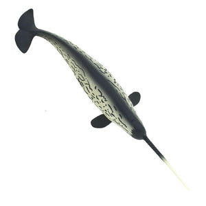 212202-Narwhal