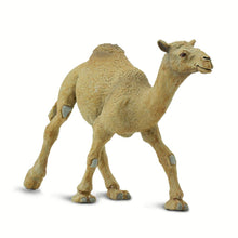 Cargar imagen en el visor de la galería, 222429-Dromedary Camel