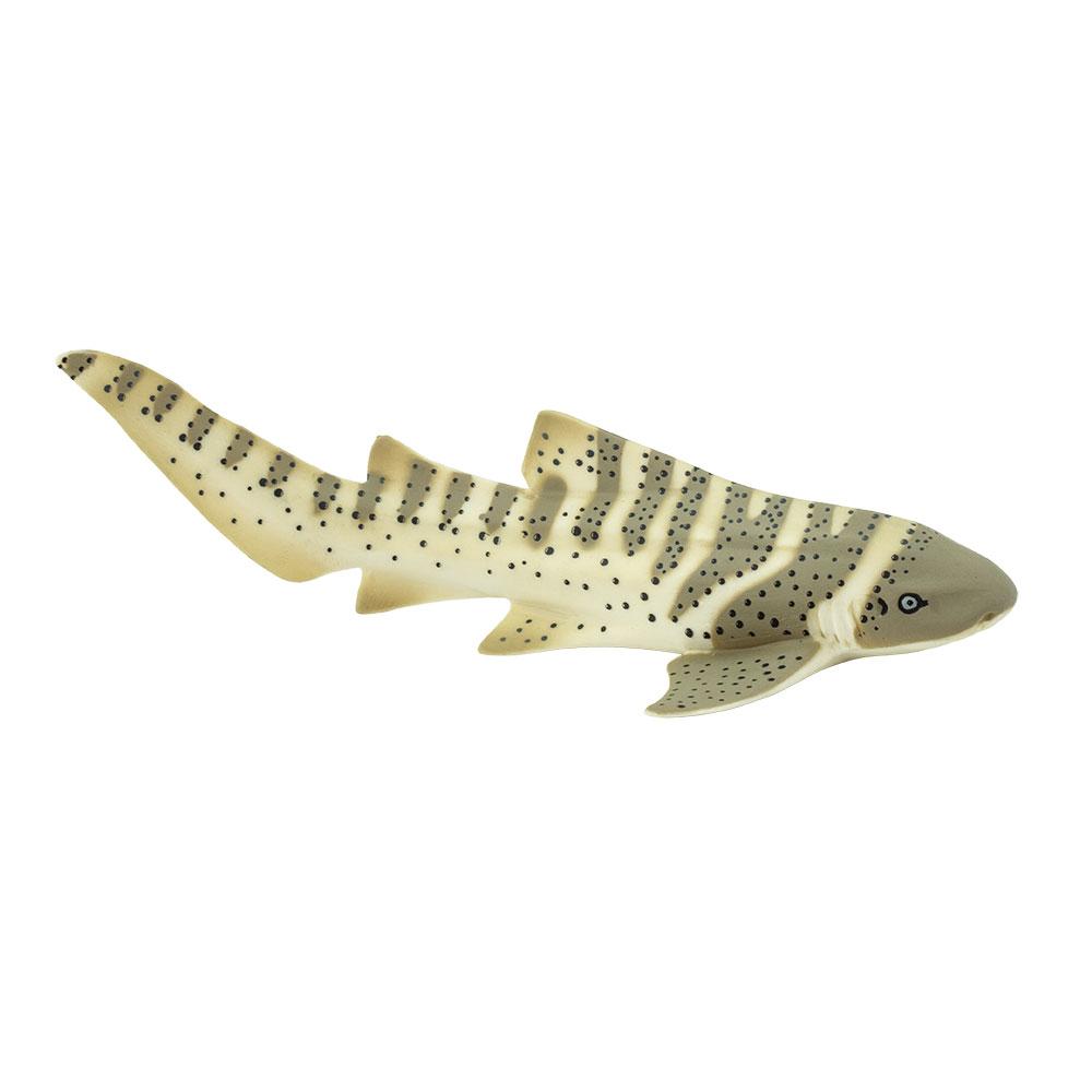 223329-Zebra Shark