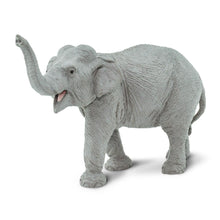Cargar imagen en el visor de la galería, 227529-Asian Elephant