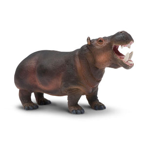 229029-Hippopotamus