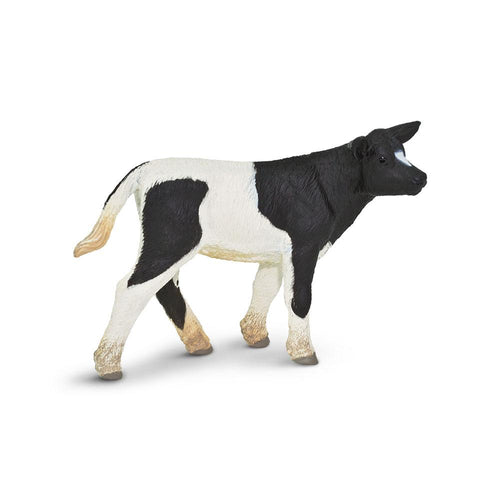 232729-Holstein Calf