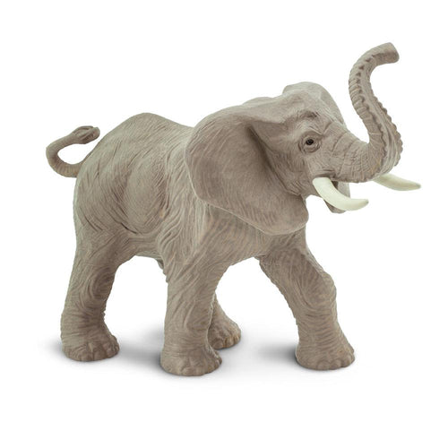 238429-African Elephant