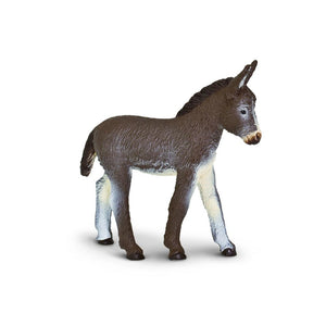 249929-Donkey Foal