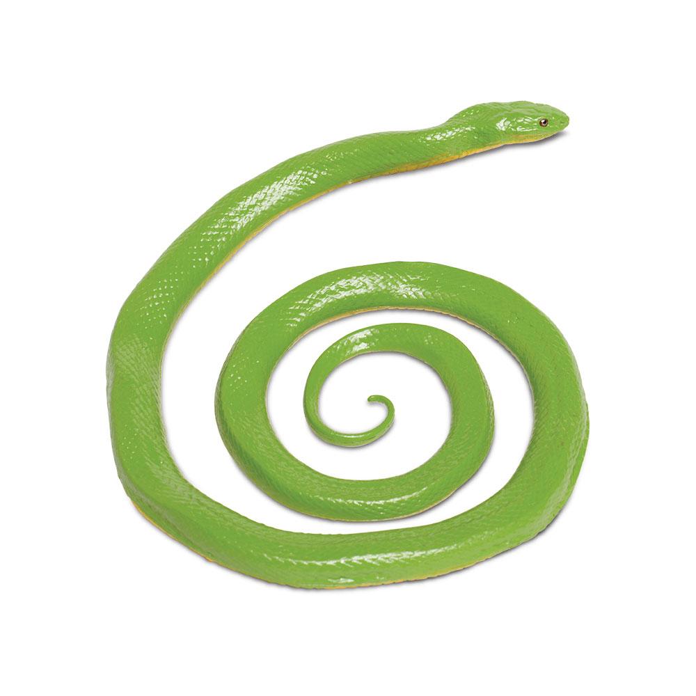 257729-Rough Green Snake