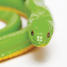 Cargar imagen en el visor de la galería, 257729-Rough Green Snake