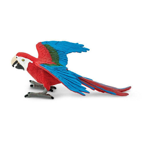 263929-Green-winged Macaw