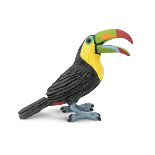 264129-Toucan