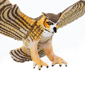 264429-Great Horned Owl