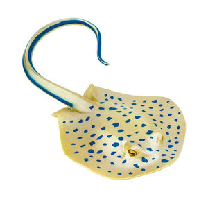 267329-Blue Spotted Ray
