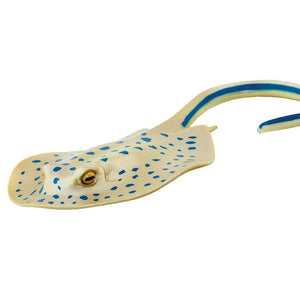 267329-Blue Spotted Ray