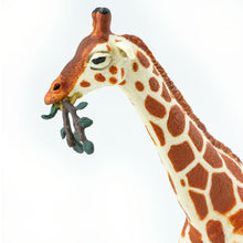 Cargar imagen en el visor de la galería, 268429-Reticulated Giraffe