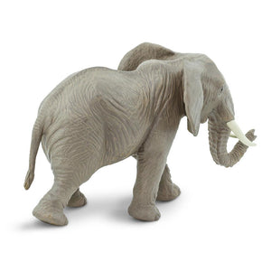 270029-African Elephant
