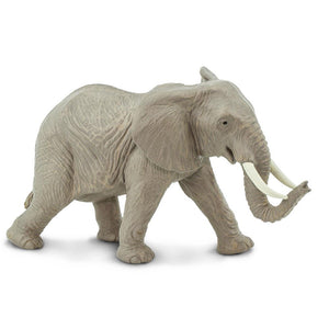 270029-African Elephant