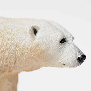 273329-Polar Bear