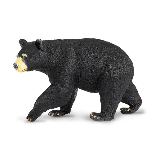 273529-Black Bear