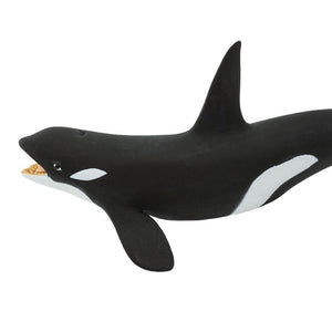 275129-Killer Whale