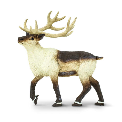 277929-Reindeer