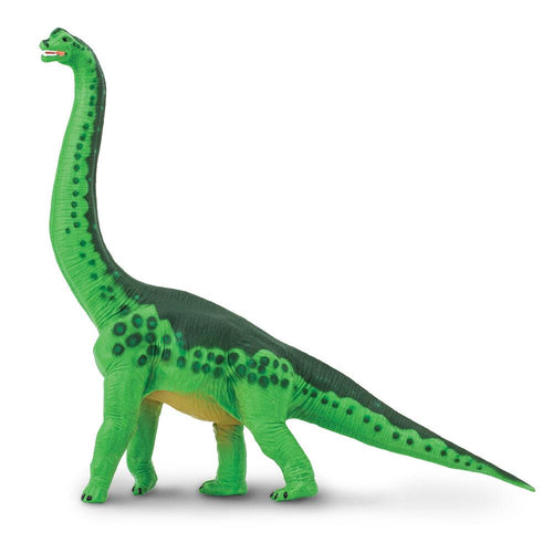 278229-Brachiosaurus
