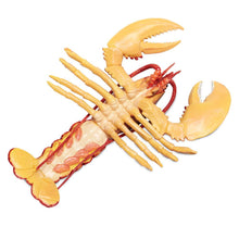Cargar imagen en el visor de la galería, 281629-Maine Lobster
