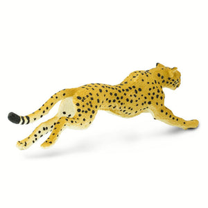 290429-Cheetah