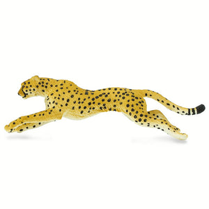 290429-Cheetah