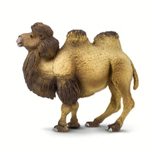 Cargar imagen en el visor de la galería, 290929-Bactrian Camel