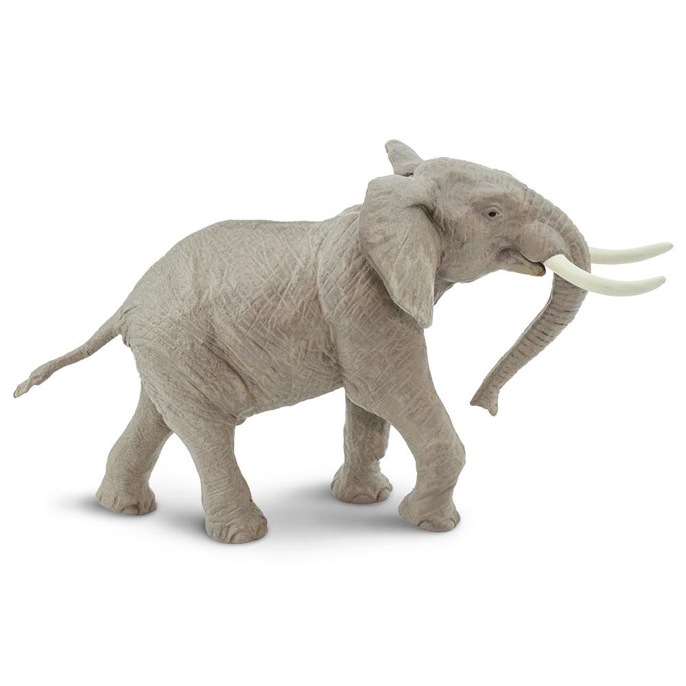 295629-African Bull Elephant