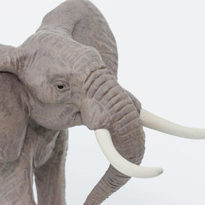 295629-African Bull Elephant