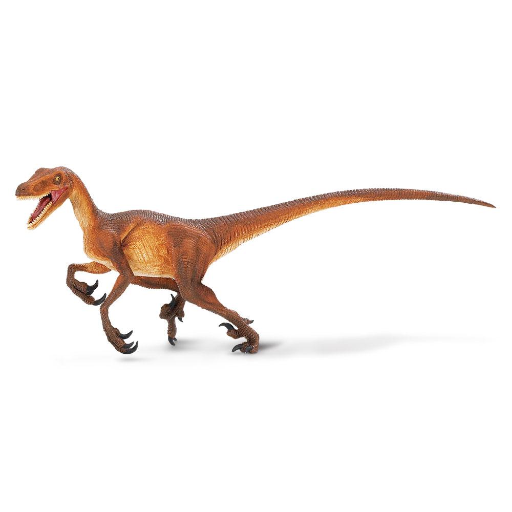 299929-Velociraptor