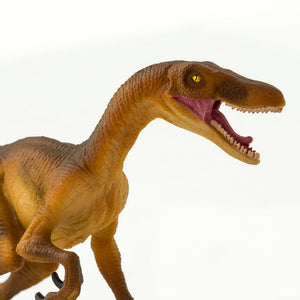 299929-Velociraptor