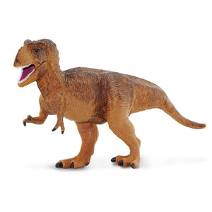 30000-Tyrannosaurus rex