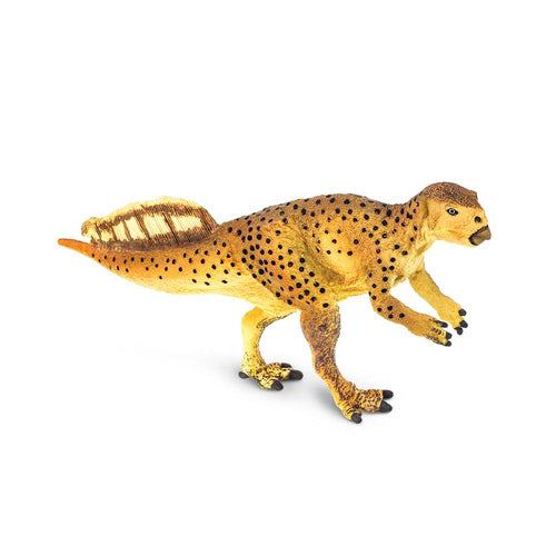 304229-Psittacosaurus