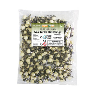 341522-Sea Turtle Hatchlings