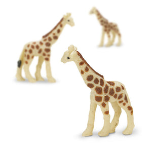 342622-Giraffes