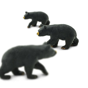 343422-Black Bears