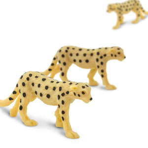 351222-Cheetahs