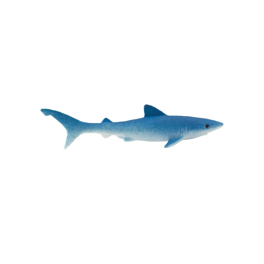 352922-Blue Sharks