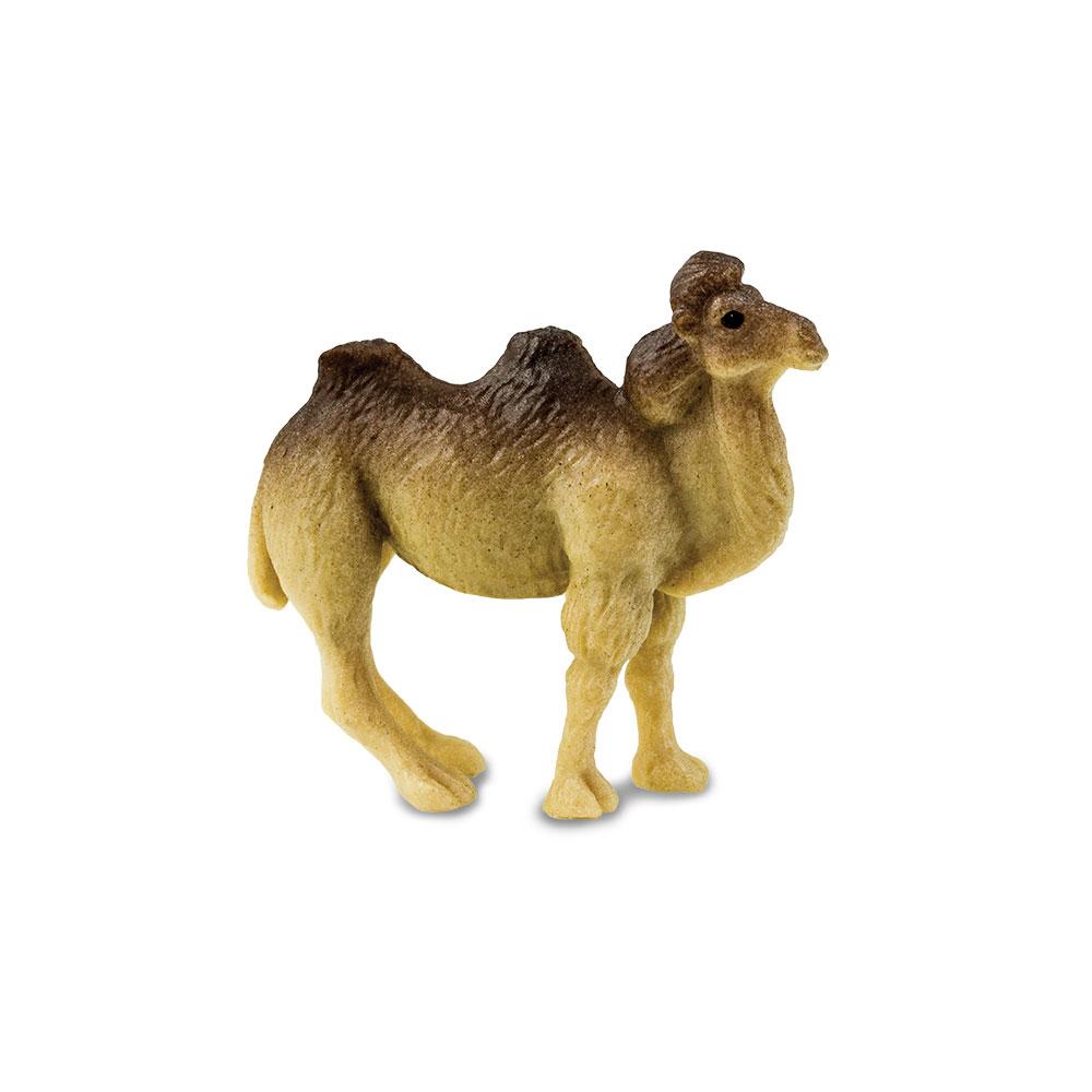 353022-Camels